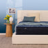 Serta Perfect Sleeper Cobalt Calm Extra Firm Twin Mattress - Adams Furniture