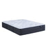 Serta Perfect Sleeper Blue Lagoon Plush Twin Mattress