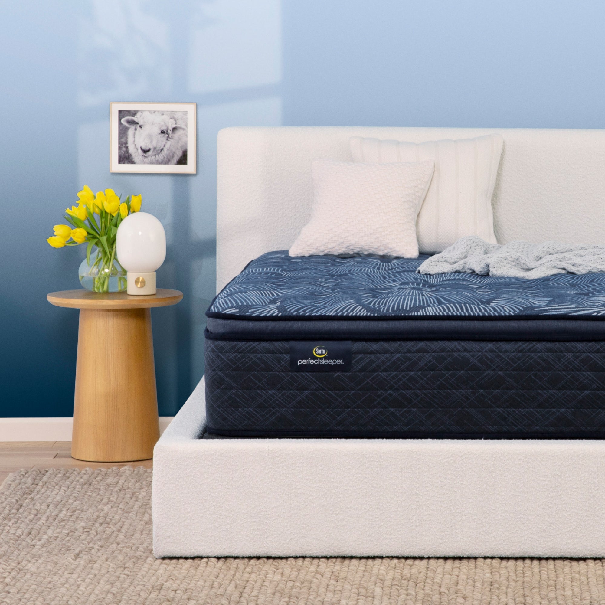 Serta Perfect Sleeper Cobalt Calm Medium Pillow Top Full Mattress - Adams Furniture