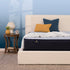 Serta Perfect Sleeper Blue Lagoon Firm Queen Mattress