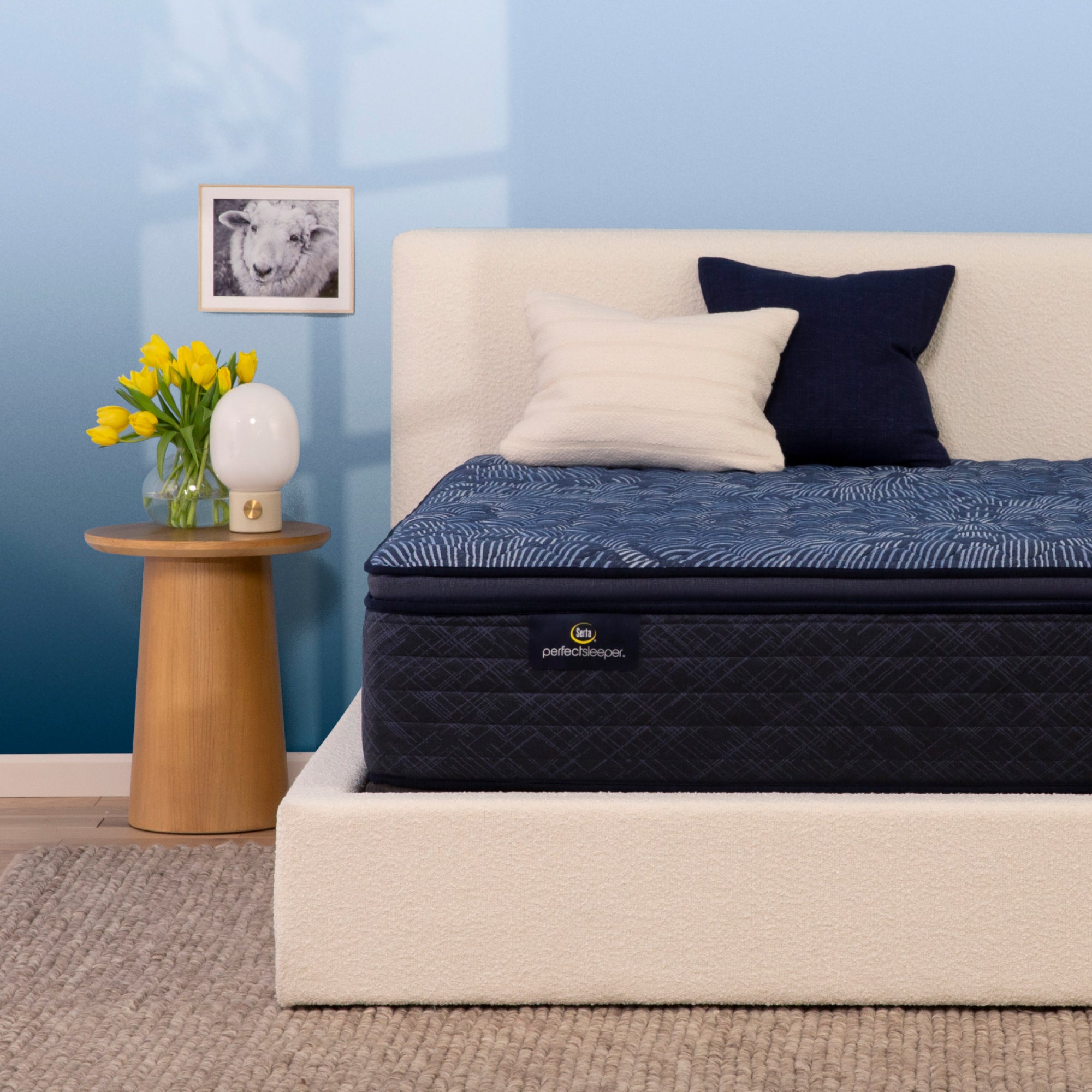 Serta Perfect Sleeper Cobalt Calm Medium Firm Pillow Top King Mattress - Adams Furniture