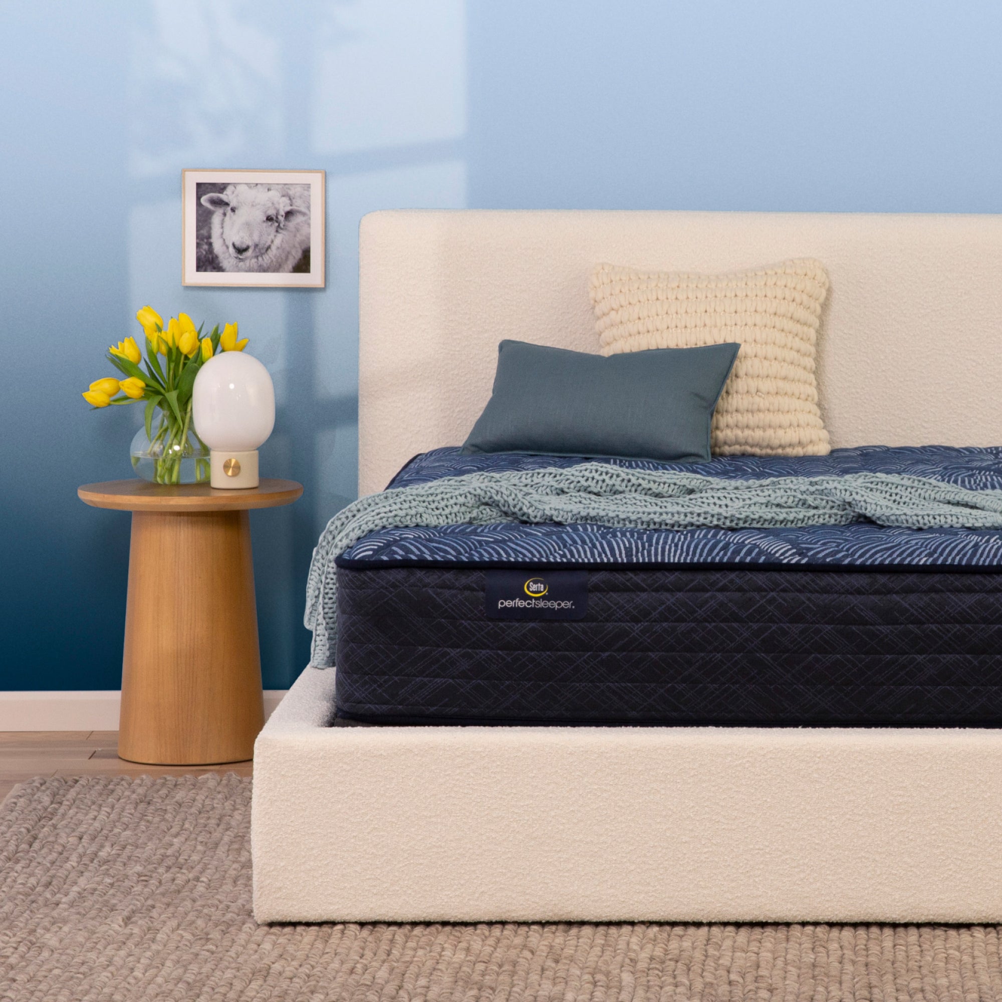 Serta Perfect Sleeper Cobalt Calm Extra Firm Queen Mattress - Adams Furniture