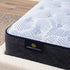 Serta Perfect Sleeper Blue Lagoon Plush Queen Mattress