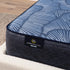 Serta Perfect Sleeper Hybrid Euphoric Nights Plush Twin Mattress