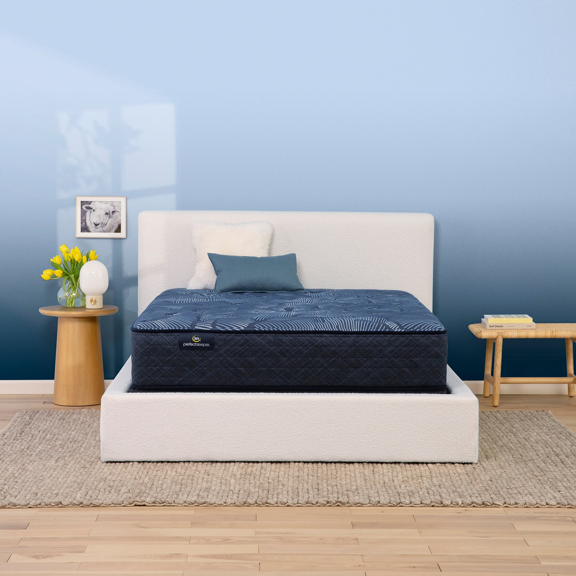 Serta Perfect Sleeper Cobalt Calm Plush Queen Mattress - Adams Furniture