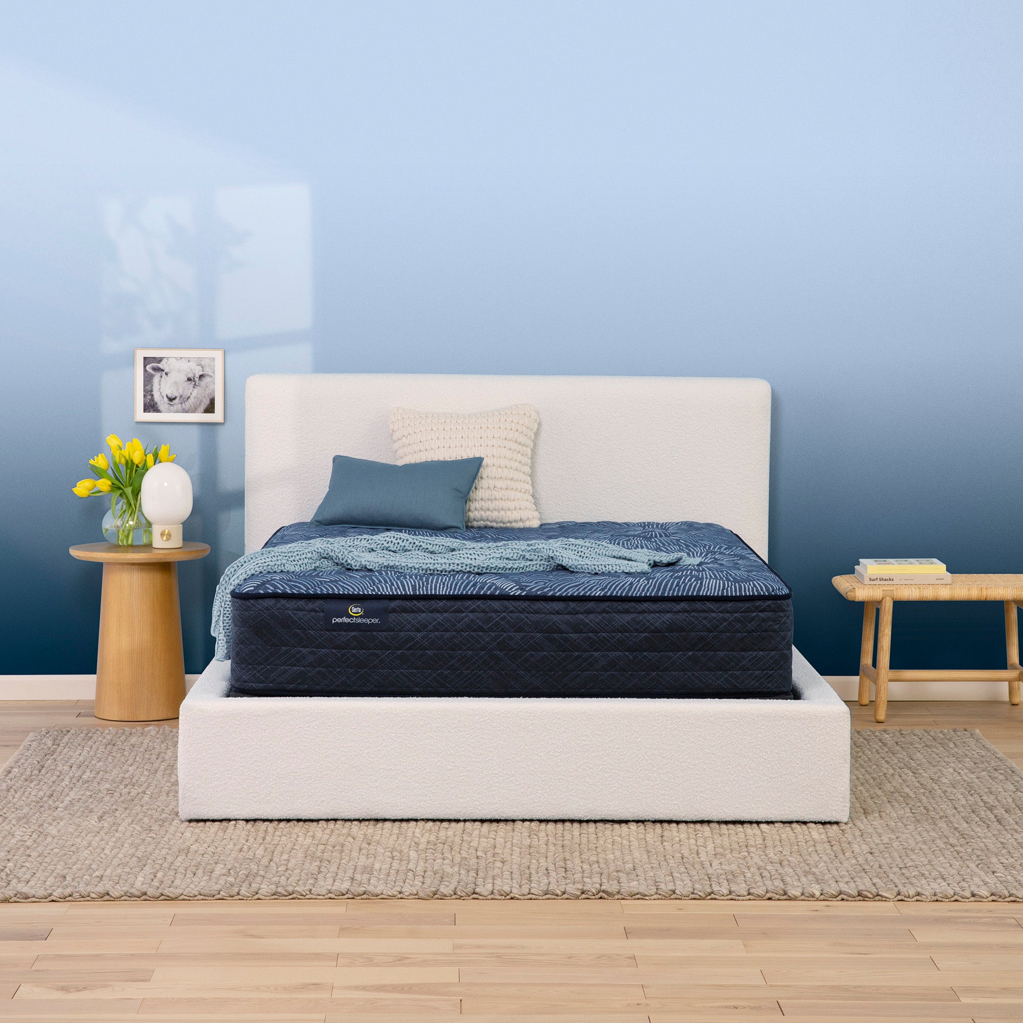 Serta Perfect Sleeper Cobalt Calm Extra Firm Queen Mattress - Adams Furniture