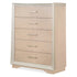 Camila 5 Piece King Bedroom Set with LED Lights