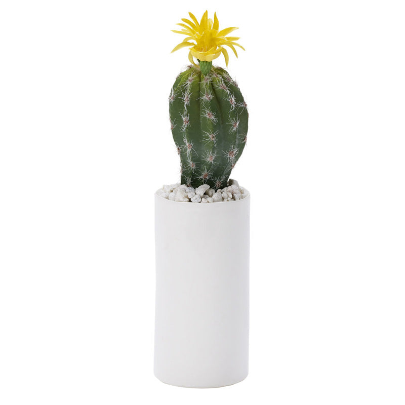 Mini Oval Cactus with Yellow Bloom in Tall White Cylinder