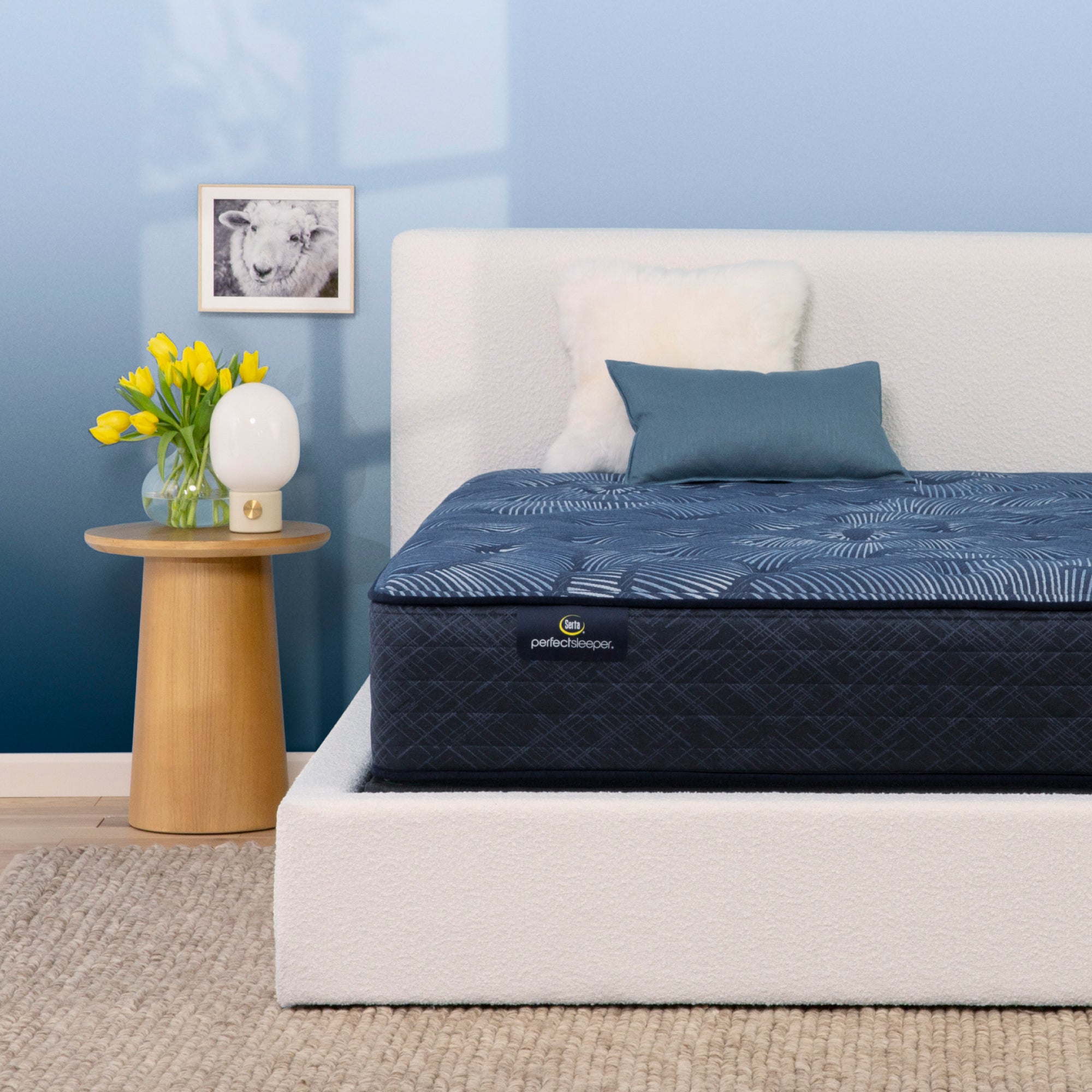 Serta Perfect Sleeper Cobalt Calm Plush Twin Mattress - Adams Furniture