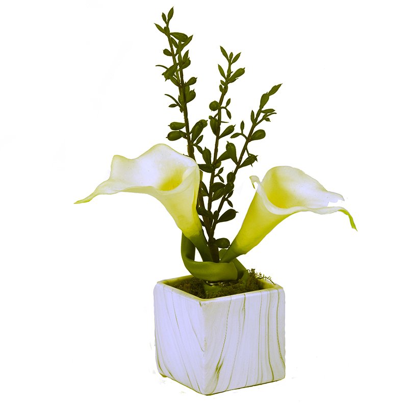 White Calla Lilies in White Marble Ceramic Cube