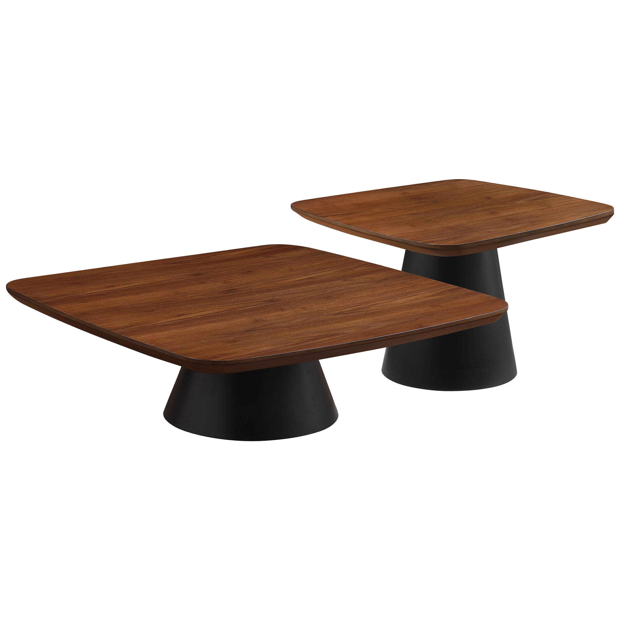 2 Piece Coffee Table Set