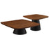 2 Piece Coffee Table Set