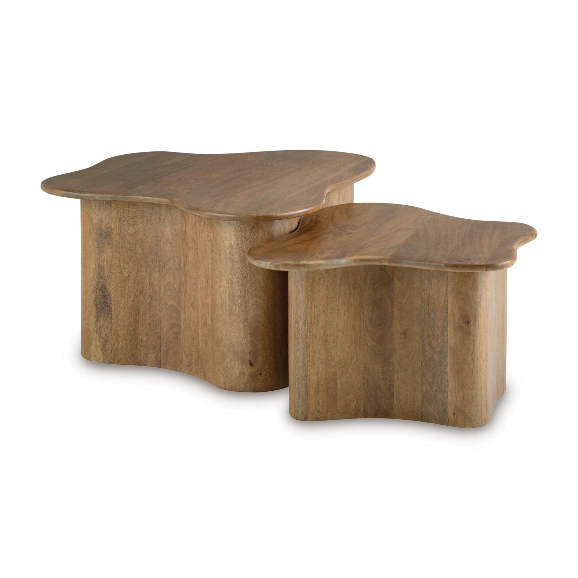 2 Piece Accent Coffee Table Set
