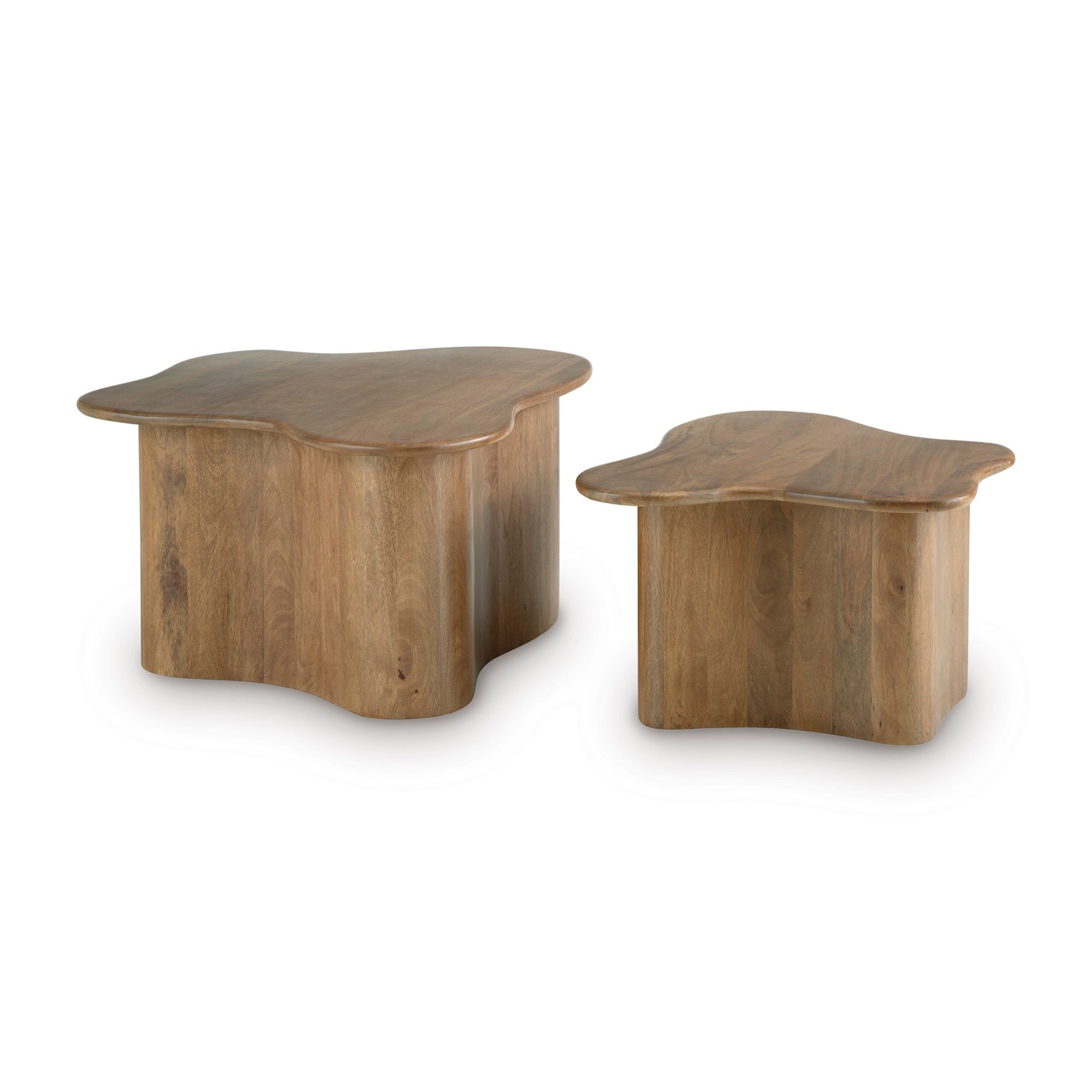 2 Piece Accent Coffee Table Set