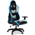Swivel Desk Chair