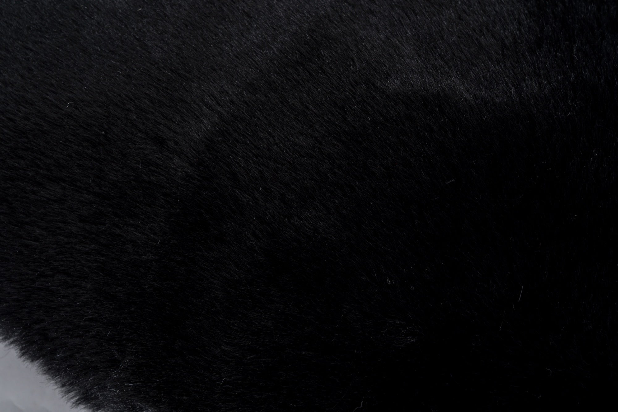 Faux Rabbit Fur Black Pillow - Adams Furniture