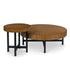 Occasional Table 2 Piece Set