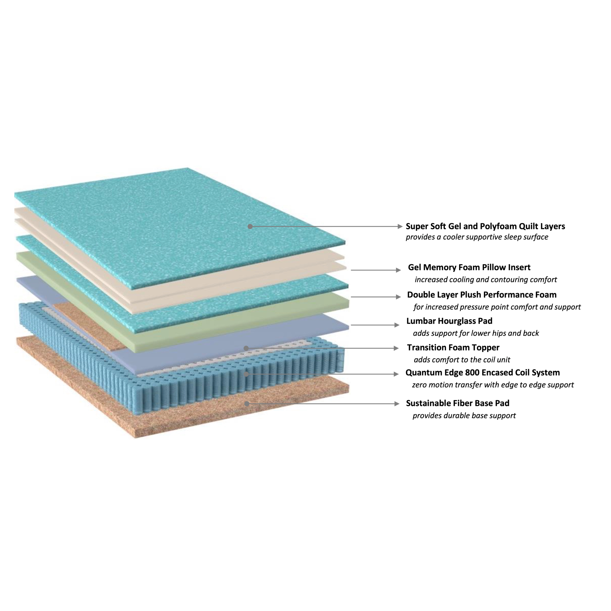 Blackbird Euro Pillow Top Queen Mattress - Adams Furniture