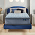 Serta Perfect Sleeper Luminous Sleep Medium Pillow Top Queen Mattress