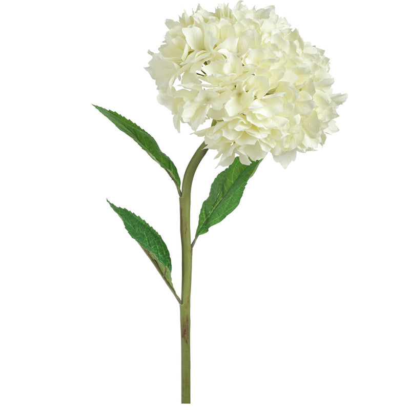 Hydrangea Leaves Cream - Adams Furniture
