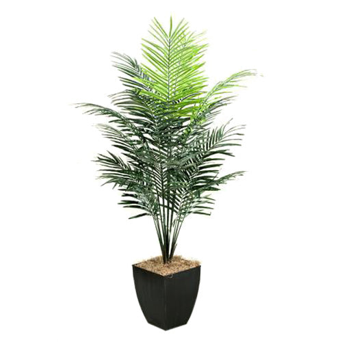7′ Dwarf Areca Palm Tree in Square Metal Planter - Adams Furniture