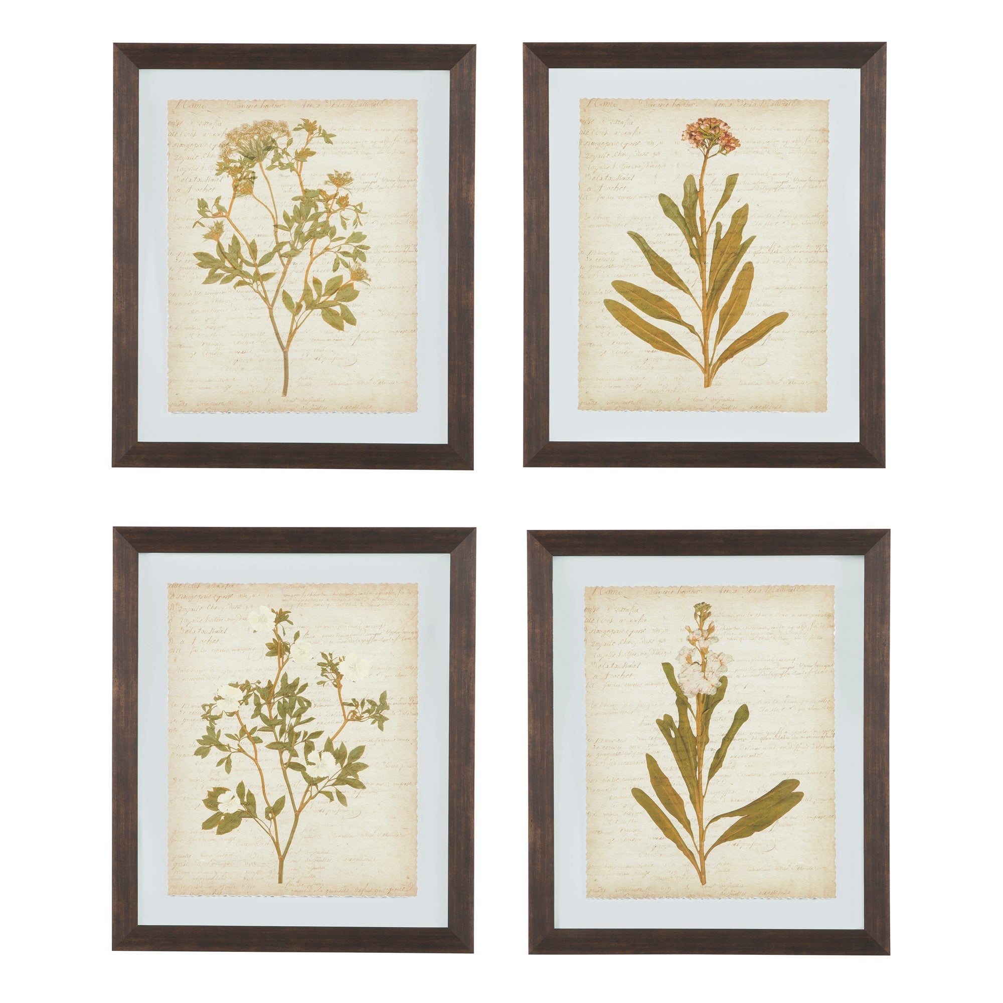 Dyani Wall Art (Set of 4) - Adams Furniture