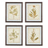 Dyani Wall Art (Set of 4) - Adams Furniture