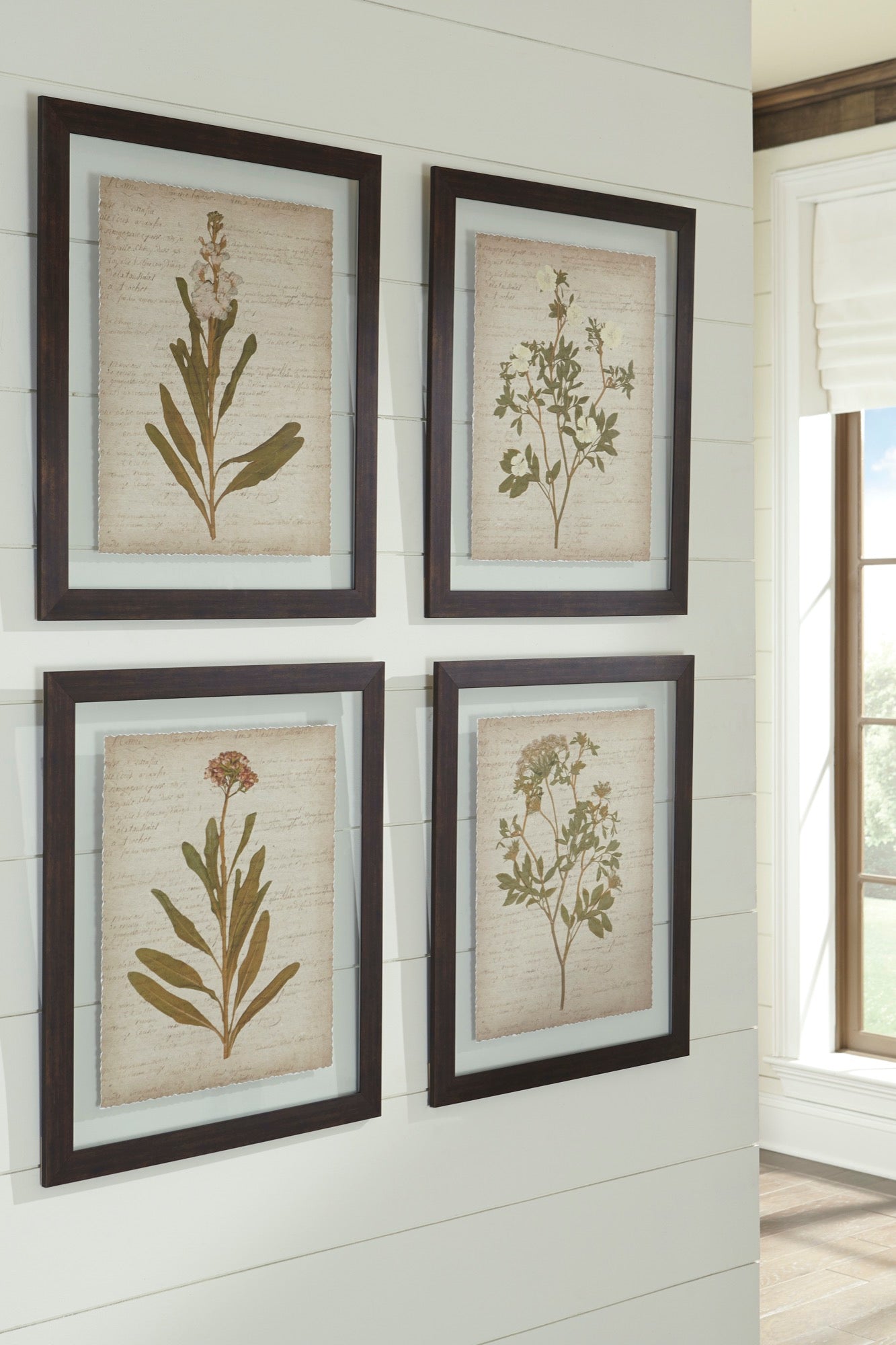Dyani Wall Art (Set of 4) - Adams Furniture