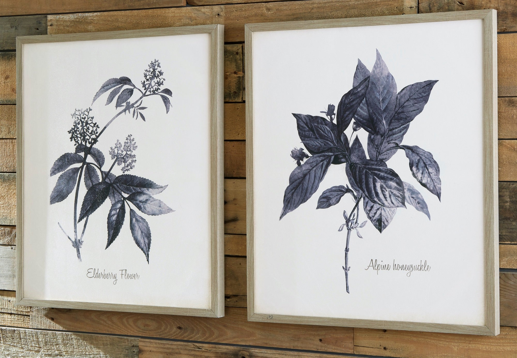 Efren Wall Art (Set of 2) - Adams Furniture