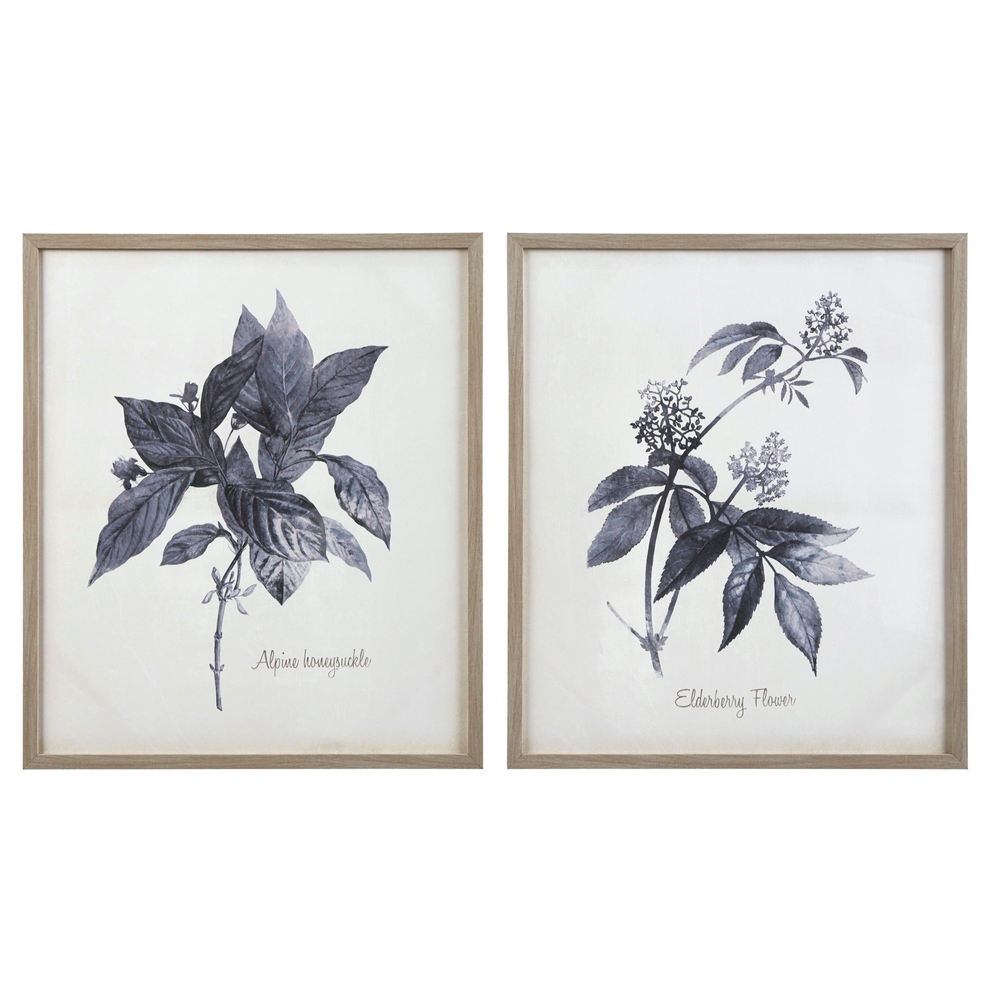 Efren Wall Art (Set of 2) - Adams Furniture