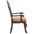 Deryn Park Arm Chair (Set of 2) - Adams Furniture