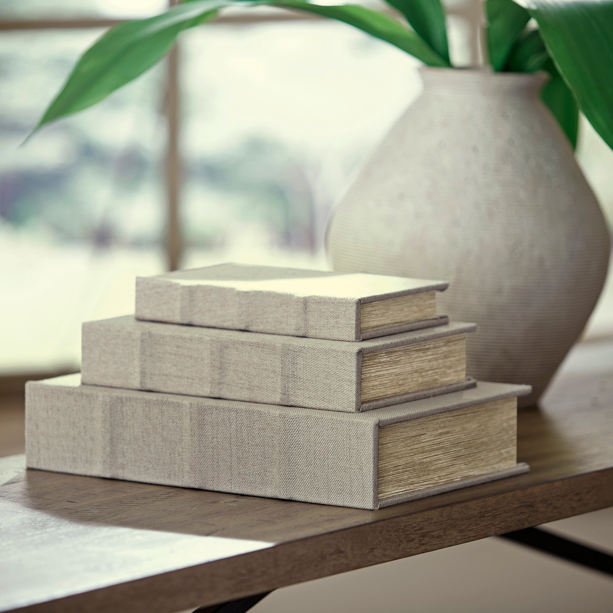 Jolina Box (Set of 3) - Adams Furniture