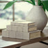 Jolina Box (Set of 3) - Adams Furniture