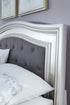Coralayne Bed