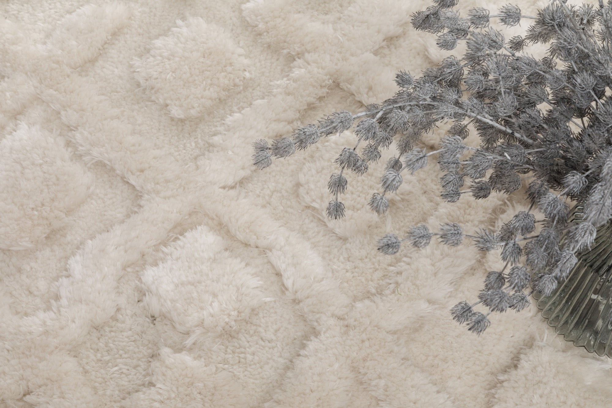 Eva 8x10 Area Rug - Adams Furniture